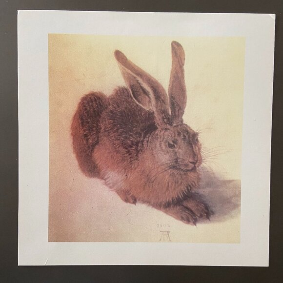 Albrecht Durer, Rabbit Art, Rabbit Print - Picture 4 of 4